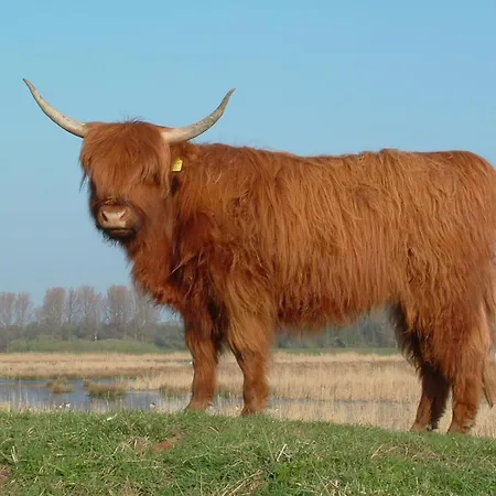 Delightfully Ubytování v soukromí Purmerend