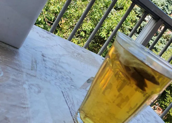 Delightfully Purmerend