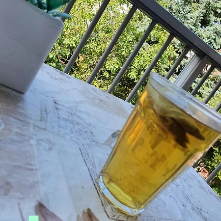 Delightfully Purmerend