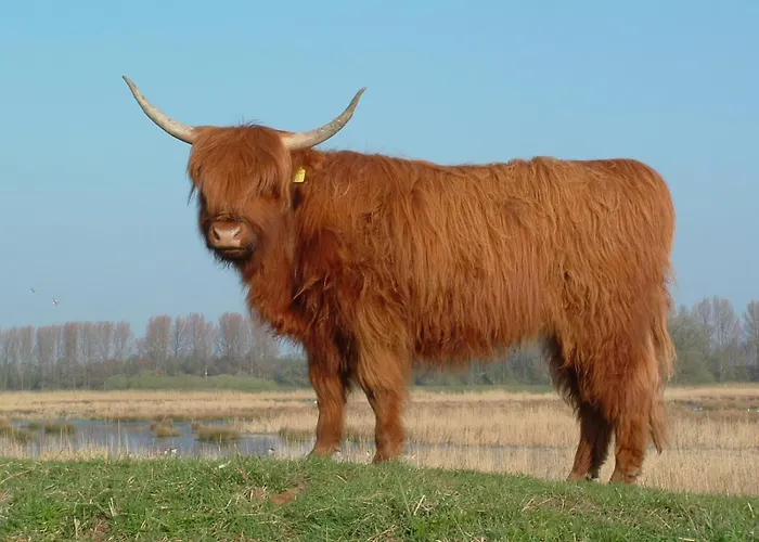 Delightfully Privatunterkunft Purmerend